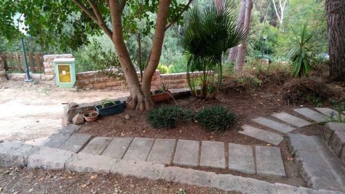 Green House - Woods And Beaches - Sardinia