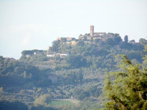 Podere Caldaruccio La Pineta Chalet