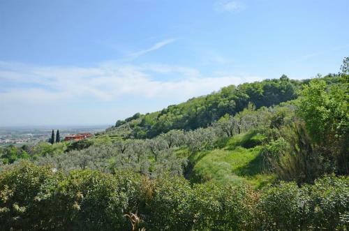 Villa Casa Iacopo