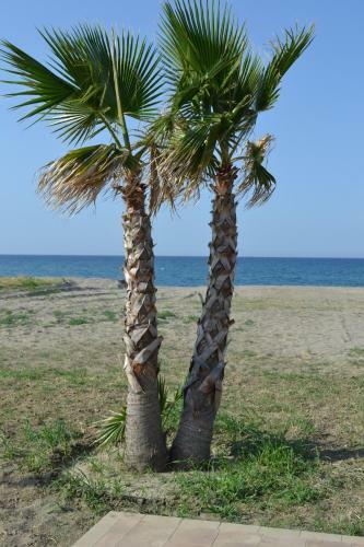 Villa Green House Beach
