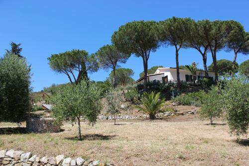Podere L'isolella