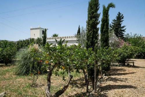 Villa Domus Sicily - La Casa Dell'acqua