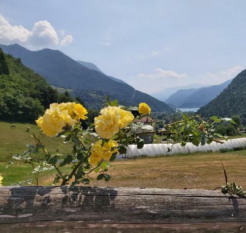 Agroturismo Agritur La Dasa
