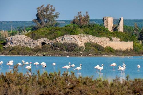Casa Tulipano 1 Sx A Torre Colimena
