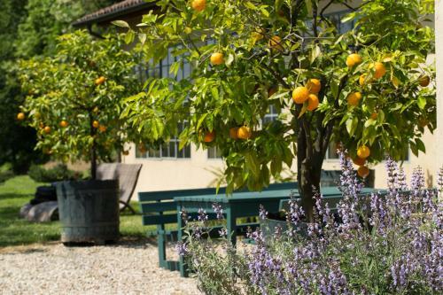 Cascina Margherita - Marchesi Alfieri