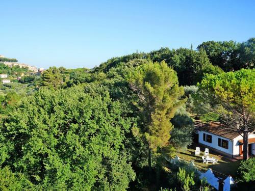 Locazione Turistica Ulivo - Msc255