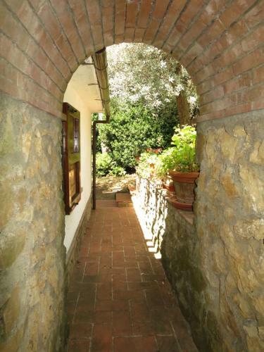 Locazione Turistica Ulivo - Msc255