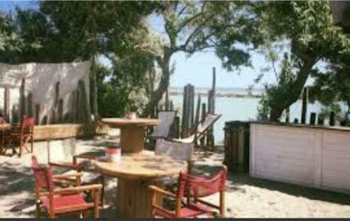 Apartamento Bilocale Fronte Pineta