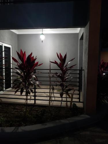 Apartamento Maison Romantique