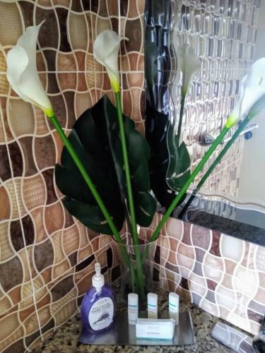 Apartamento Sweet Suites Ochi 1