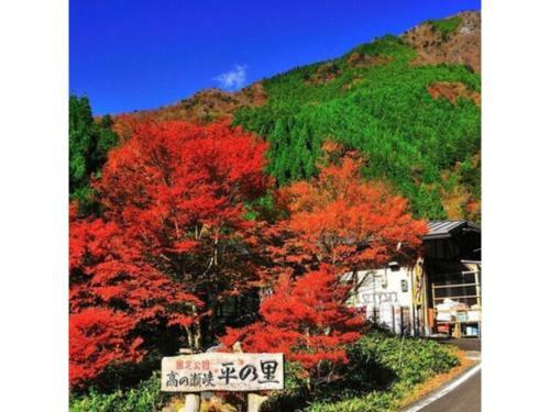 Hotel Sun Ocean - Vacation Stay 84237