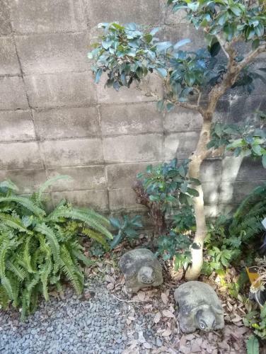 Hostal Sakai Kita-ku - House - Vacation Stay 10593