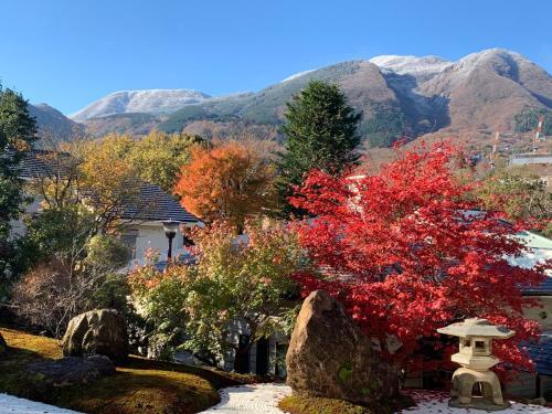 Hostal Onsen & Garden -asante Inn-