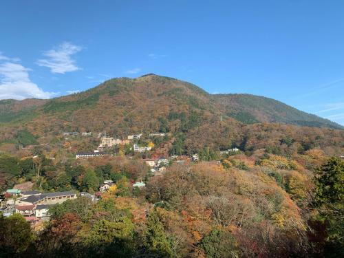 Hostal Onsen & Garden -asante Inn-
