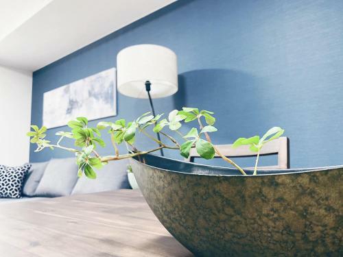 Apartamentos Ouchi Hotel Itsukaichi