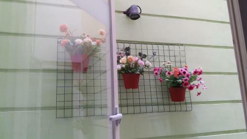 Hostal Ikiru To Live