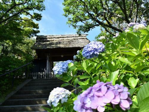 Kamakura Cocon