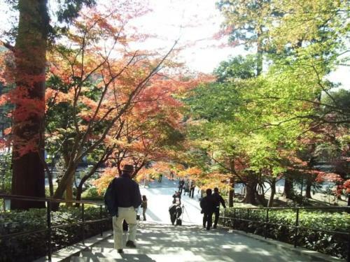 Apartamento Villa Kamakura