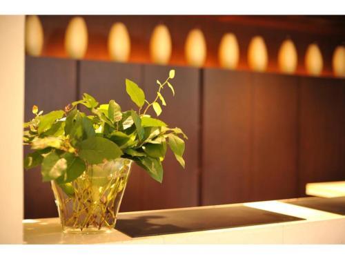 7 Days Hotel Plus - Vacation Stay 84908