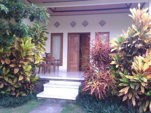 Hostal Gunung Mas Pemuteran