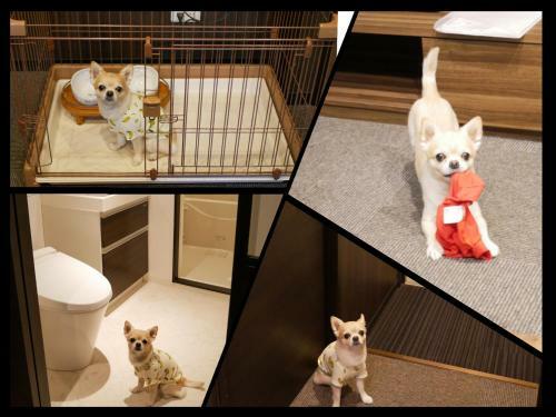 Hotel ??ranz ??ogawa