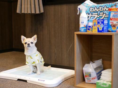 Hotel ??ranz ??ogawa