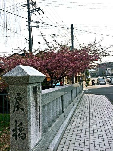 Ichijo Premium