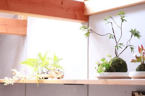 Apartamento Hitoori