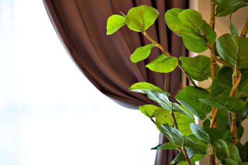 Apartamento Associe Shimada 401
