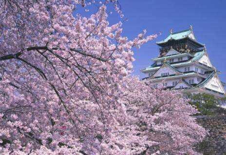 Apartamentos Osaka-home 4ldk