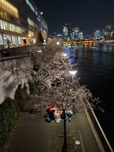 Hostal Sakuranomiya Hotel