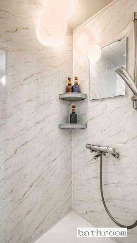 Sapporo Central Apartment P205