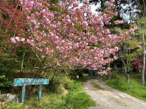 Music Forest Villa&camp