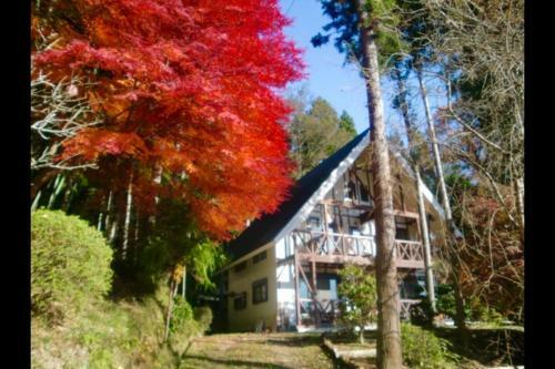 Music Forest Villa&camp