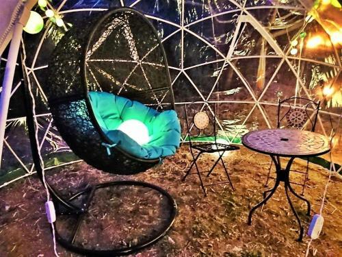 Tree Club - Vacation Stay 13285v