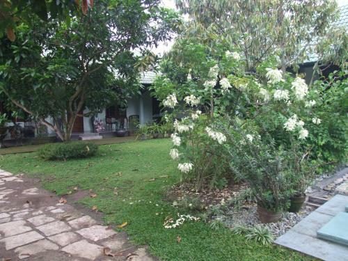 Bed & Breakfast Rumah Sawah