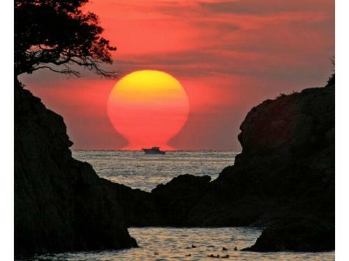 Hotel Avan Sukumo - Vacation Stay 94480