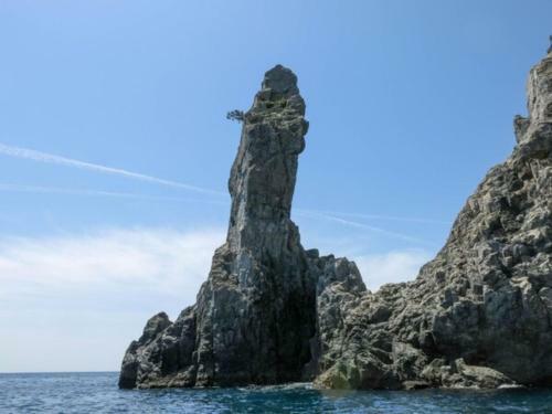 Hotel Avan Sukumo - Vacation Stay 94309