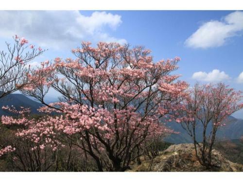 Hotel Avan Sukumo - Vacation Stay 94475