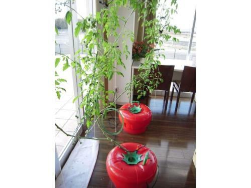 Wind City Hotel - Vacation Stay 81482