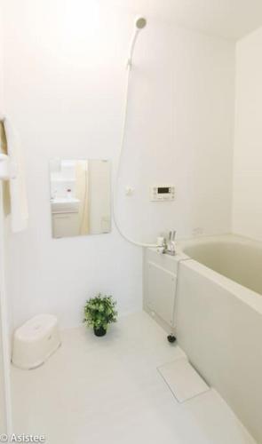 1 Bedroom Apartment Otsuka Tp #002
