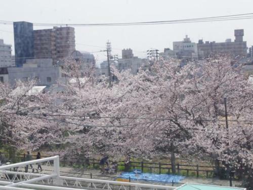 Tottori City Hotel / Vacation Stay 81355