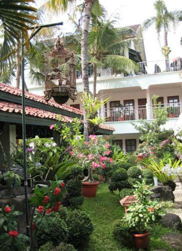 Peti Mas Hotel