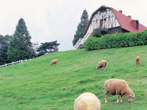Akashi Castle Hotel - Vacation Stay 83571