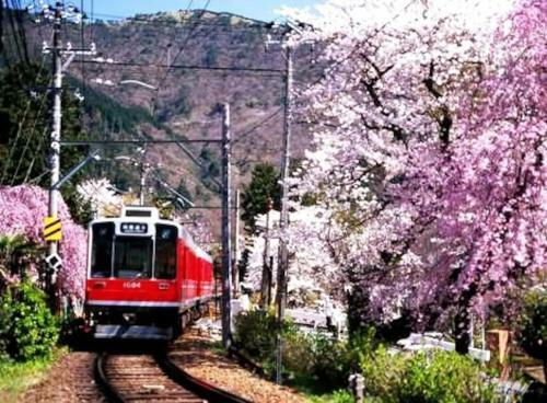 Forest Villa Hakone - Vacation Stay 05424v