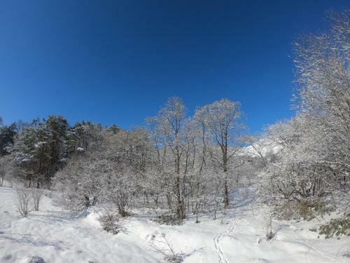 Hakuba Hokujo