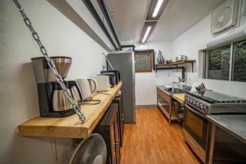 The Jungle House - Hakuba