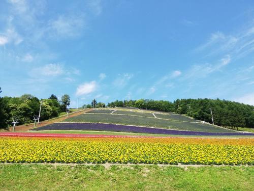 Hotel Hanafuji Inn