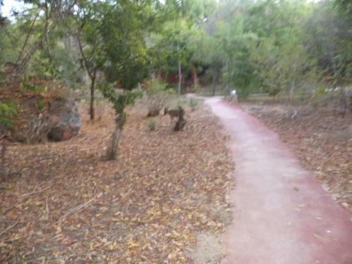Hotel Gosana Eco Nature
