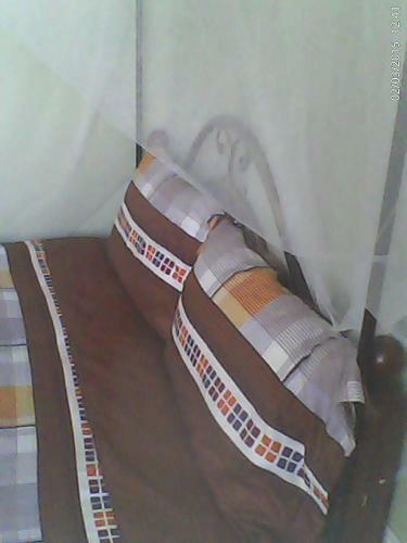 Hotel Pec Guest House